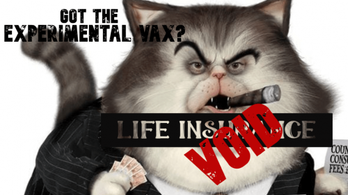 life-insurance-void