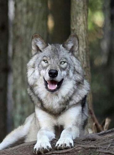 170545867_1549703251895686_8390882682441022679_n