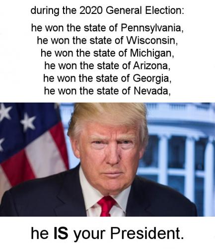 ztrump233