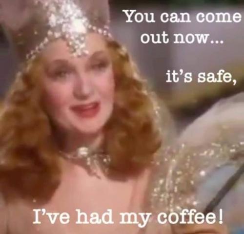 58722593_2351096055157724_6926395708450799616_o