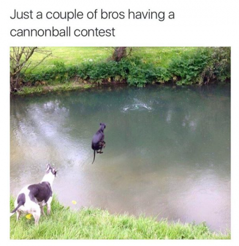 82741116_3414338168581272_530075500643614720_n