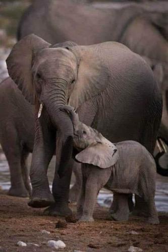 165912351_4373977512630743_5771033538130466470_n