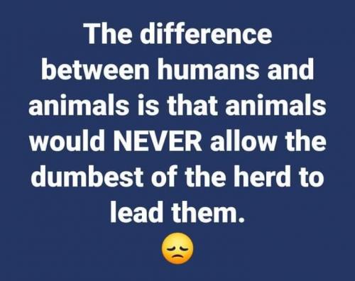 23:00:18 GMT-0700 (PDT).image