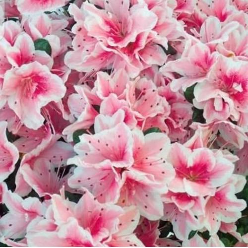 18:57:58 GMT+0100 (WAT)