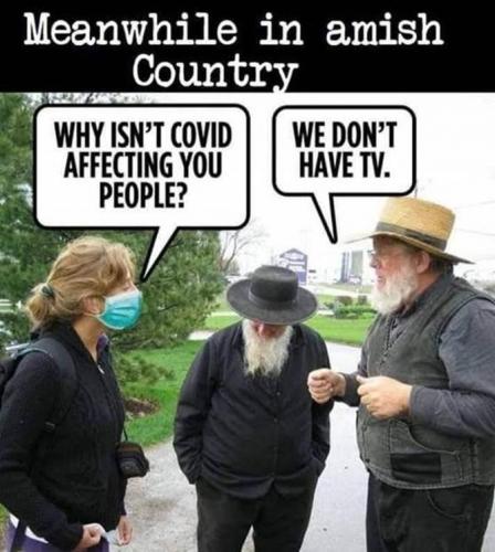 AMISH