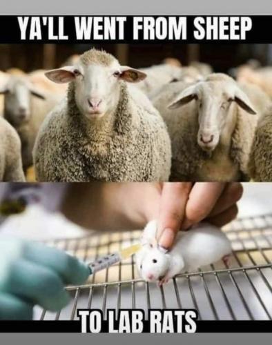 20:13:05 GMT-0700 (PDT).image