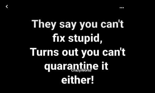 07:19:46 GMT-0600 (MDT).image