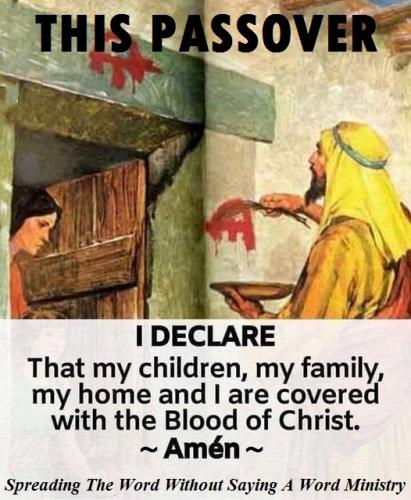 166236187_10159013554506132_2518455312159016196_n