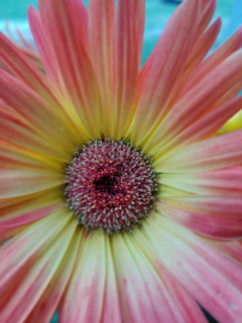 11:24:57 GMT-0500 (CDT)