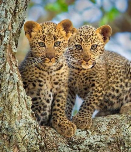 17:05:07 GMT-0500 (CDT)