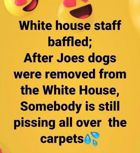 14:51:37 GMT-0500 (CDT)