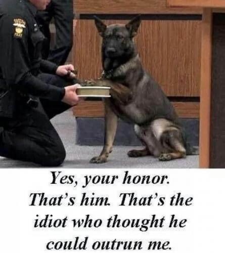 19:50:40 GMT-0700 (PDT).image