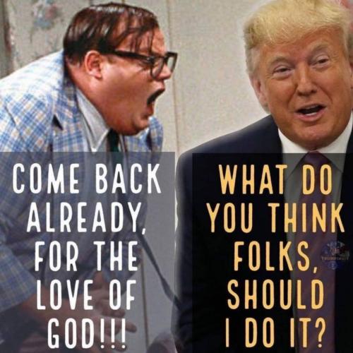 A13A35A1-16B2-4907-9823-74B5D975F476