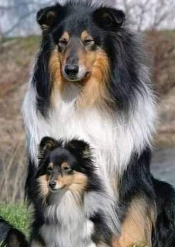 19:25:08 GMT-0500 (CDT)