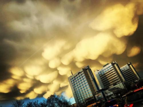 4306D17D-AA01-4E37-8C9B-0A4F033BD093