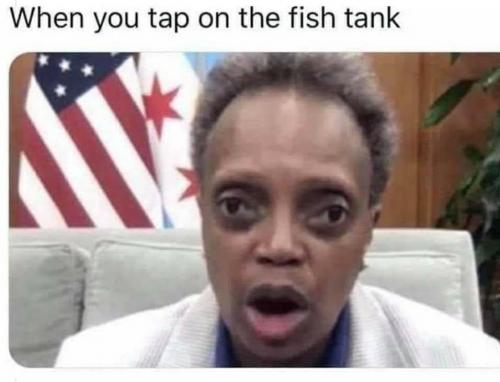 17:56:57 GMT-0700 (PDT).image