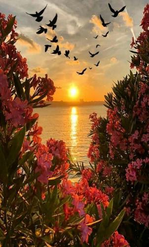 10:53:14 GMT-0500 (CDT)