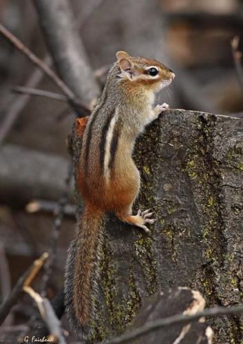 tumblr_27184e0199b9ed694a4f093e63ea4468_2e172c1f_540