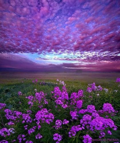 174227803_1847548718744665_4816613681896244443_n