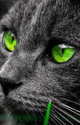 22:27:12 GMT-0500 (CDT)