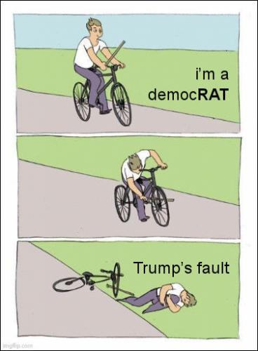 democrats416
