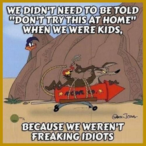 Not idiots