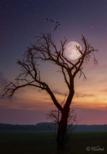 10:12:01 GMT-0500 (CDT)