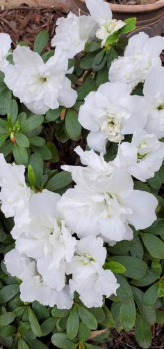 13:15:18 GMT-0700 (PDT)