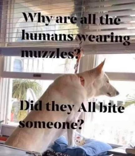 23:04:00 GMT-0700 (PDT)