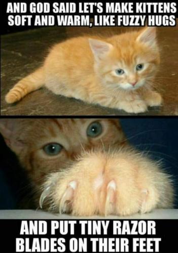 12:31:17 GMT-0700 (PDT)