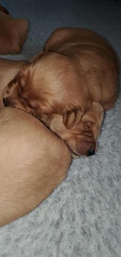 12:33:14 GMT-0400 (EDT)