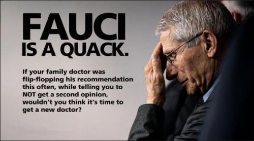 fauci29