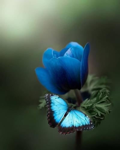 168945507_1837343659765171_6992168587913377810_n