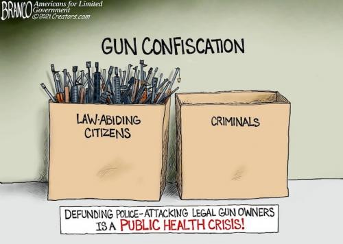GUN CONFISCATION MEME