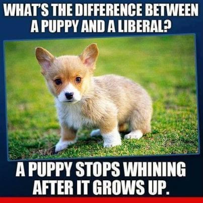 21:55:41 GMT-0700 (PDT).image