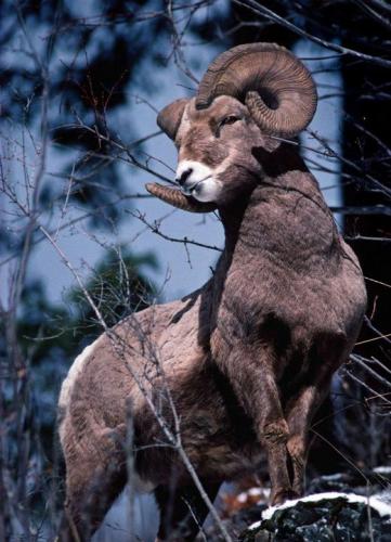 175892302_1557957477736930_1435134269949206753_n