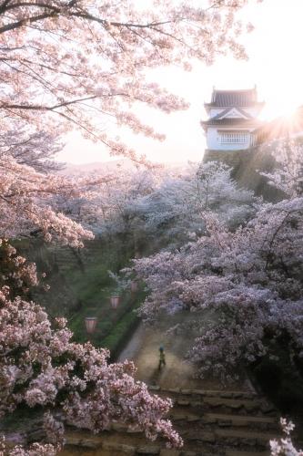 174547507_3678951735548090_4771659600485473983_n