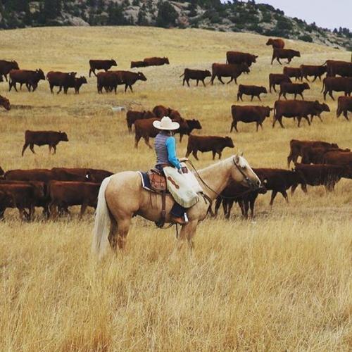 7e83e79680f057713c33ea926d41025f