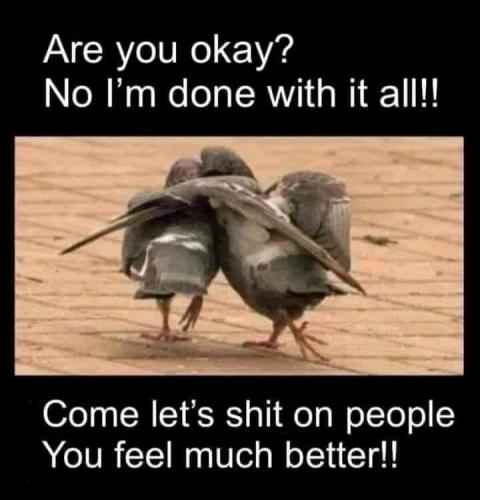 18:50:51 GMT-0400 (EDT)