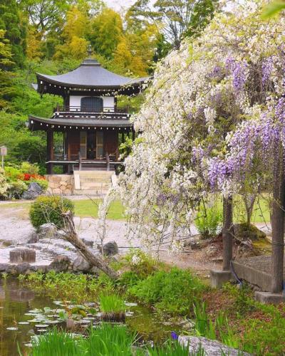 179212414_3883884145064022_5935106287840817616_n