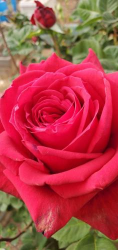 23:34:12 GMT-0700 (PDT)