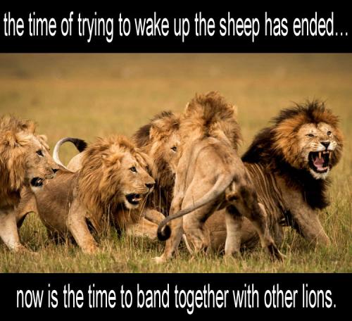 sheeple34