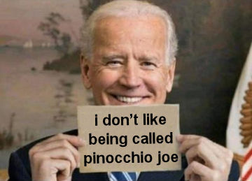 biden488