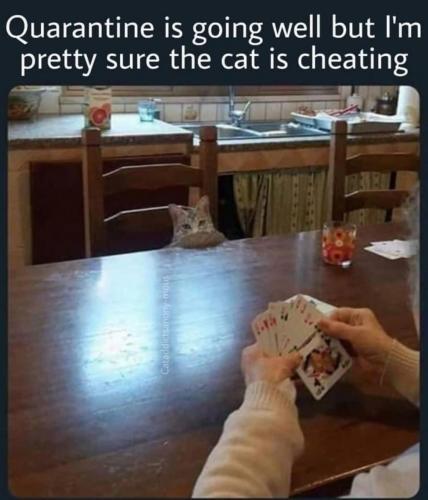 92261603_3452338434781641_3699344478385995776_o