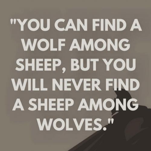 IMG_20210412_033903_066