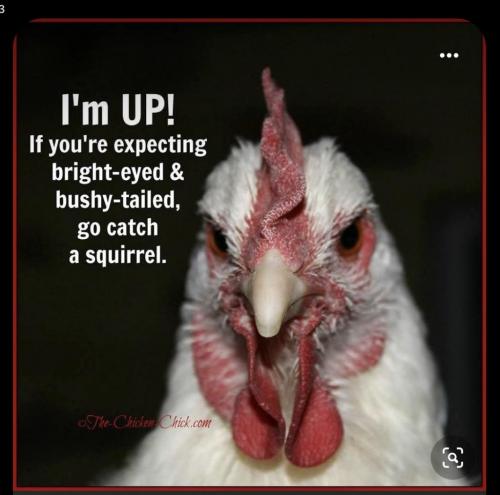 07:44:25 GMT-0600 (MDT).image