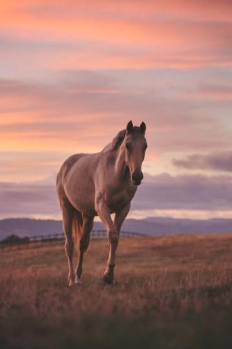 68608a9c7bd3efc62881b6f7a29f4a48