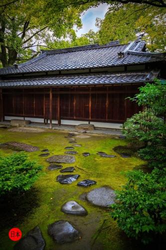 179038462_5387261314678877_5812617888612747443_n