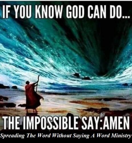 168616786_290649379297974_4304866107759800083_n