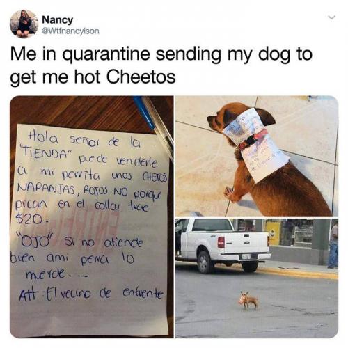 90331188_3302491043096830_3453269614266417152_n